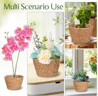 Alipis Wicker Planter: 5.1" Seagrass Plant Basket Indoor - Hand-Woven Planter Basket with Liner for Houseplants, Succulents & Boho Farmhouse Decor 2-Pack