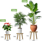 3 Pack Plant Stand Indoor Outdoor Mid-Century Modern Plant Stool Wooden Plant Pot Holder Home Decor for Gardening Living Room,Balcony,Office (Light Burnt Color, 3 Pack)