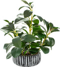 AlphaAcc Artificial Succulents Plants Decor Greenery Fake Succulents Indoor Potted Fake Plant with Rustic Black Clay Planter for Farmhouse Room Bathroom Bedroom Kitchen Office Dese Coffee Table Decor