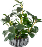 AlphaAcc Artificial Succulents Plants Decor Greenery Fake Succulents Indoor Potted Fake Plant with Rustic Black Clay Planter for Farmhouse Room Bathroom Bedroom Kitchen Office Dese Coffee Table Decor