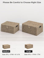 StorageWorks Seagrass Wicker Baskets for Organizing, Large Wicker Basket with Lid, Decorative Basket with Built-in Handles, Storage Baskets for Shelves, 1 Pack