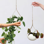 Hajia 2 Pack Waterdrop Shaped Hanging Planter, Beige Metal Plant Hanger with Non-Detachable Pots, Boho Hanging Plant Holder for Wall and Ceiling Decor.(No Plants or Drainage Holes)
