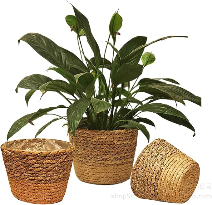 3PCS Plant Basket Indoor with Plastic Liner Water Hyacinth Woven Planters Flower Baskets Holder Liners Home Decor