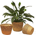 3PCS Plant Basket Indoor with Plastic Liner Water Hyacinth Woven Planters Flower Baskets Holder Liners Home Decor
