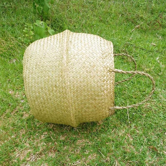 Newooh Craft Small Seagrass Belly Basket for Storage, Laundry, Picnic and Woven Straw Beach Bag - Plant Pots Cover Indoor Decorative