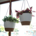 8 inch Hanging Planters, 2 Pack Self Watering Hanging Pots with 20oZ Deep Reservoir for Indoor Outdoor Plants Flowers, White with Brown