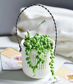 Melphoe 3.5‘’ Two-Piece Succulent Planters Pots with Drainage, Flexible Removable Handle, Flower Pots for Mini Plants, Small Hanging Planter for Wall, Window, 6 PCAK, White