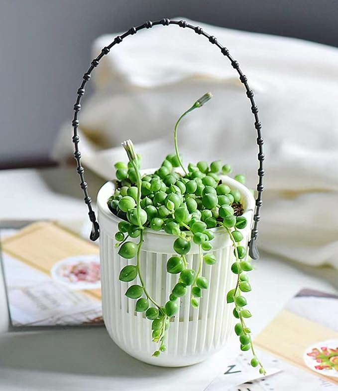 Melphoe 3.5‘’ Two-Piece Succulent Planters Pots with Drainage, Flexible Removable Handle, Flower Pots for Mini Plants, Small Hanging Planter for Wall, Window, 6 PCAK, White