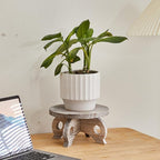 Plant Stools Indoor Wooden Stool for Plants Flower Display with Stand Farmhouse Indoor Small Plant Stand Riser Round Display Stands