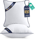 Utopia Bedding Throw Pillow Inserts (Pack of 2, White), 24 x 24 Inches Decorative Indoor Pillows for Sofa, Bed, Couch, Cushion Sham Stuffer