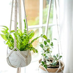 2 Pack Macrame Plant Hanger 47 Inches,Indoor Plant Hanger with Tassel for Boho Home Decor, Hanging Plant Holder with 2 Hooks (Ivory)