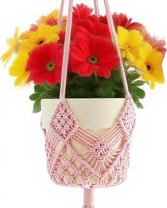 2 Pack Macrame Hanging Planters with Patterns - Stylish Plant Hangers Crochet Boho Plant Holder Hanging Plant Basket for Up to 6 Inch Pots(Pink)