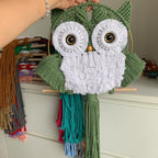 ACEDSGN Macrame Owl Wall Hanging Boho Hippy Decor, Handmade Tapestry Fiber Art Wall Decor for Nursery Bedroom Living Room, Sustainable Gift for Owl Lovers & Nature Fans