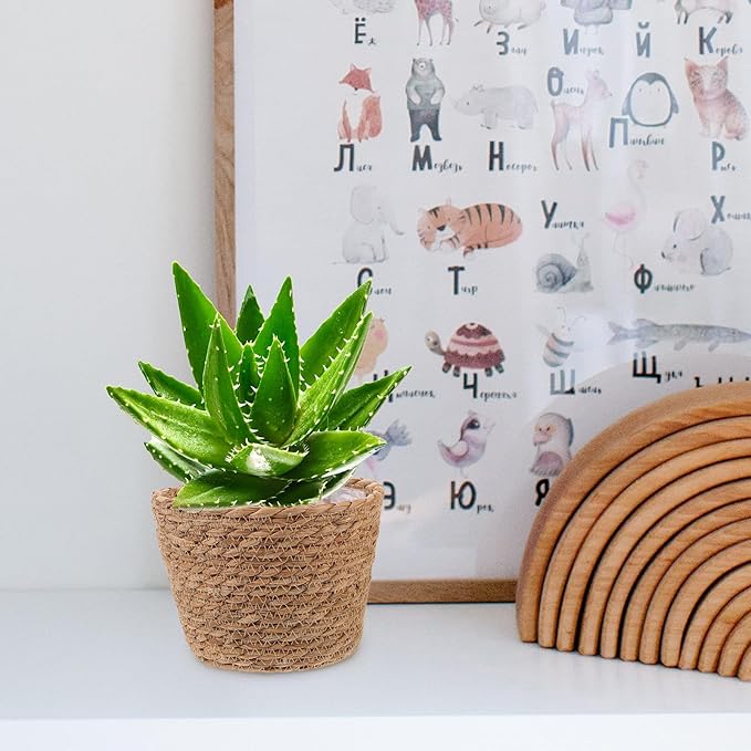 Veemoon 2pcs Wicker Planter Basket, Rustic Straw Woven Flower Basket Arrangement Flower for Plants Laundry Bin Storage Woven Plant Pot Hanging Seaweed Girl Toddler Hanging Seaweed 7. 07x7. 07x5. 89in