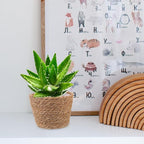 Veemoon 2pcs Wicker Planter Basket, Rustic Straw Woven Flower Basket Arrangement Flower for Plants Laundry Bin Storage Woven Plant Pot Hanging Seaweed Girl Toddler Hanging Seaweed 7. 07x7. 07x5. 89in