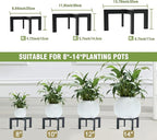 Metal Plant Stands Indoor Outdoor, Heavy-Duty Short Black Plant Holder for 5-12 Inch Flower Pots - 1/2/3 Pack Low Stand for Balcony, Corner, Desk, Table Top (Plant Not Included)(3Pcs)