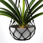 2 Pack Macrame Hanging Planters - Stylish Plant Hangers Crochet Boho Plant Holder Hanging Plant Basket for Up to 8 Inch Pots(Black, Without Patterns)