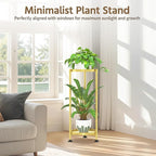 LASZOLA 2 Tier Gold Plant Stand Indoor for Large Tall Heavy Duty Flower Planter, Metal Vertical Multi Level Rack for Narrow Floor Corner, Sturdy Round Holder Organizer, Modern, Mid Century, Farmhouse