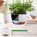 Set of 2 Hanging Planters for Indoor Outdoor Plants, 8 Inch Self-Watering Hanging Flower Pots with Drainage Hole & Removable Water-Storage Tray (Hooks)
