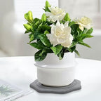Plant Saucer for Indoors, 2 Packs 8 inch, Diatomaceous Earth Pot Saucers No Holes, Instant Dry Plant Drainage Trays for Pots, Dark Gray