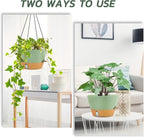ZMTECH 2 Pack 12 Inch Hanging Planters for Indoor Plants, Large Green Self Watering Hanging Planter with Visible Water Level & Removable Tray, Decorative Flower Pots for Outdoor Garden