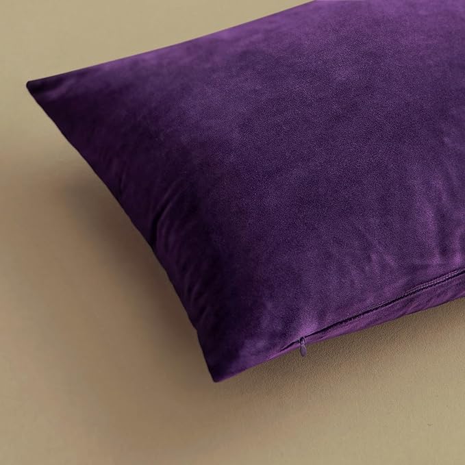 MIULEE Velvet Throw Pillow Covers 20x20 Inch, Pack of 2 - Eggplant Purple, Super Soft Decorative Square Cushion Cases Modern Luxury Spring Home Decor for Sofa,Couch,Bed,Chair