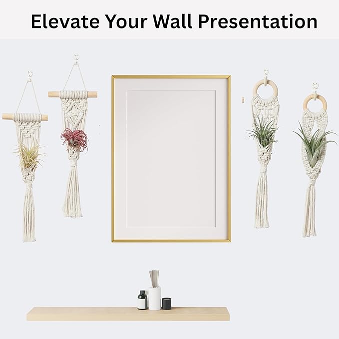 4 Pack Air Plants Holders, Wall Planters for Indoor Plants | Macrame Plant Hanger, Air Plant Hanger for Air Fern, Tillandsias (for Air Plant, NO Plant Included)
