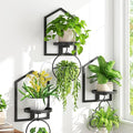 iDavosic.ly Wall Plant Picture Frame Holder Set of 3 for Indoor, Metal Stand with Hanging Hooks, Floating Flower Display Home Decor, Space Saving & Easy to Assemble (Pots/Chains/Plants Not Included)