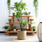 16 inch XLarge Seagrass Woven Planter Basket - Wicker Planter Basket with Plastic Film Insert for Indoor Plants, Large Monstera Pot, Woven Storage Basket, Boho Home Decor (XLarge)