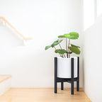 D'vine Dev Planter Pot with Stand - 8 Inch Plastic Cylinder Flower Pot with Wood Planter Holder for Indoor, Matte White Pot + Ebony Stand, 55-C-K-1