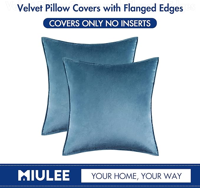 MIULEE Light Blue Velvet Throw Pillow Covers 18x18 Soft Decorative Solid Square Cushion Cases Pack of 2 Modern Luxury Home Decor for Couch, Sofa, Bedroom
