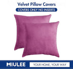 MIULEE Velvet Throw Pillow Covers 18x18 Inch, Pack of 2 - Hot Pink, Soft Solid Decorative Pillow Covers Cushion Cases Modern Luxury Home Decor for Couch Sofa Bedroom Livingroom