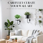 4 Pack Wall Plant Holder,Wall Planters for Indoor Plants,Plant Hanger Indoor,Metal Plant Wall Hanger,Hanging Plant Holder（Black）