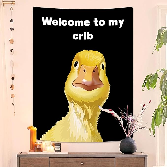 Funny Tapestries Welcome To My Crib Flag Funny Tapestry 3x4Ft Indoor Outdoor Wall Art Tapestry for Bedroom Teens Room Decoration Living Room Bedroom Decorations Cool Stuff for Your Room Decor