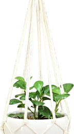 Macrame Plant Hanger Hanging Planter Hanging Net Basket Cotton Rope 52 Inch for 10 inch Pot, Pot and Plant Excluded (Beige)