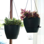 10 Inch Self Watering Hanging Pots, 2 Pack Hanging Planters with 40oZ Deep Reservior for Indoor Outdoor Plants Flowers, Black Speckles