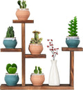 Wooden Tabletop Plant Stand - 5 Tier Succulent Plant Holder Decorative Planter Holder, Small Desktop Flower Pot Rack Shelf for Decoration Living Room Home Office Windowsill