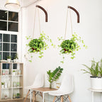 Juexica 4 Pcs Plant Hanger Wooden, 8 Inch Hanging Plant Hooks for Indoors and Outdoor, Wall Mounted Hanging Hook Brackets for Planters Lanterns Wind Chimes and Bird Feeders Patio Decor(Coffee Color)