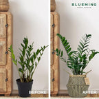 Plant Baskets – Large Seagrass Planter for Tall Indoor Faux Olive Tree, Woven Wicker Rattan Pot for Boho Decor 9-10 Inch (Black, Large & Medium)