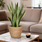 Healifty Woven Plant Baskets with Liner: 2Pcs Round Wicker Seagrass Planter Pots Rattan Straw Baskets Covers for Indoor Outdoor Flower Plants Rustic Home Farmhouse Garden Decor 9.05 X 9.05 X 6.49''