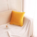 2 Pack Soft Velvet Couch Throw Pillow Covers 20x20 Inch for Sofa Living Room Bedroom (Yellow)