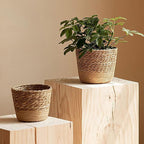 Jute Rope Plant Basket Indoor Modern Woven Flower Pot Basket Seagrass Storage Organizer Planter Rustic Decorative Plant Containers Cover Laundry Bin for Porch Living Room Entryway (6.88×6.88×4.72Inch)
