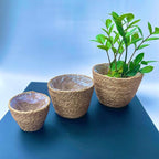 Woven Seagrass Plant Basket Without Handles | Decorative Planter for Small-Space Living or Natural Home Styling | Perfect for Living Room, Balcony, Patio, Kitchen or Gadren (Set of 3)