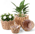 4 Pack Scalloped Wicker Plant Basket Water Hyacinth Plant Baskets Hand Woven Flower Pots Storage Containers with Plastic Liners for Indoor Outdoor Decoration, 10.2, 8.7, 7.5, 6 Inch(Untrim)