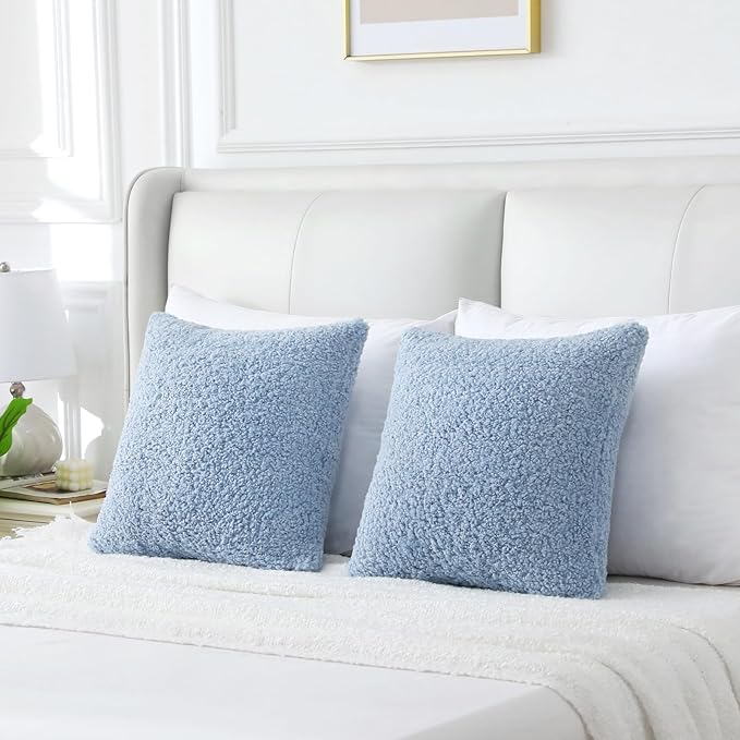 FUTEI Light Blue Throw Pillow Covers 22x22 Inch Set of 2,Furry Faux Fur Teddy Boucle Textured Cushion Covers,Soft Fluffy Decorative Pillow Case,Home Decor for Couch Bed Living Room Office Car