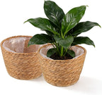 2PCS Seagrass Plant Basket for Indoor and Outdoor,Rattan Large Planter Basket with Liner for 6 inch Pot,Wicker Plant Pot Covers for Potted Plants,Woven Storage Baskets for Rustic Boho Farmhouse Decor
