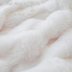 LIFEREVO Luxury Fluffy Faux Rabbit Fur Blanket, Plush Fuzzy Bubble Throw for Couch Sofa, Cozy Comfy Furry Bed Blanket Home Decoration, Aesthetic Shaggy Throw for Bedroom Living Room, 60x90, White
