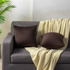 Throw Pillow Covers 16x16 Chocolate Brown: Pack of 2 Cozy Soft Velvet Square Modern Luxury Decorative Throw Pillow Cases for Sofa Couch Living Room Bed Home Decor