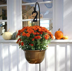 The HC Companies 11 Inch Hanging Metallic Planter - Round Hanging Basket for Indoor Outdoor Plants, Copper