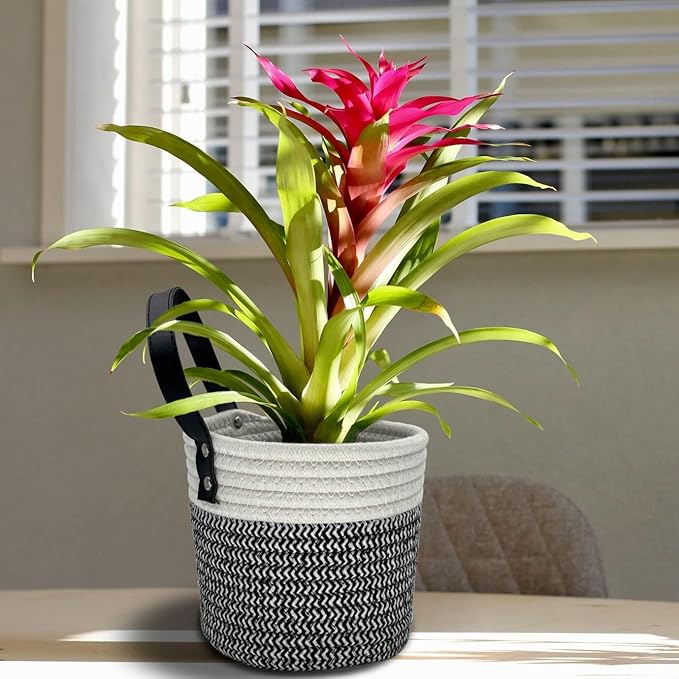 Cotton Rope Hanging Baskets for Organizing 2 Pcs Round Small Wall Basket with Handles Woven Organizer Storage Basket for Kitchen Bedroom Living Room Office(6”x6”, Black & White)